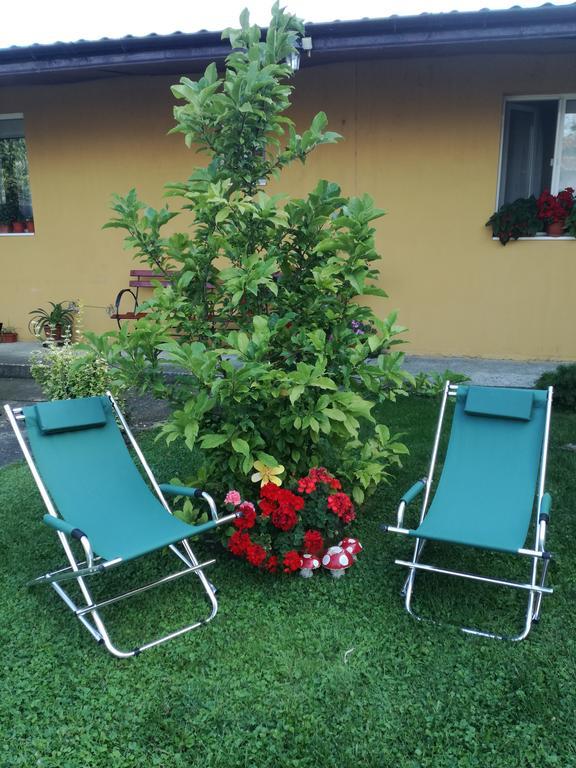 Pensiunea Vladut Timişoara Exteriör bild