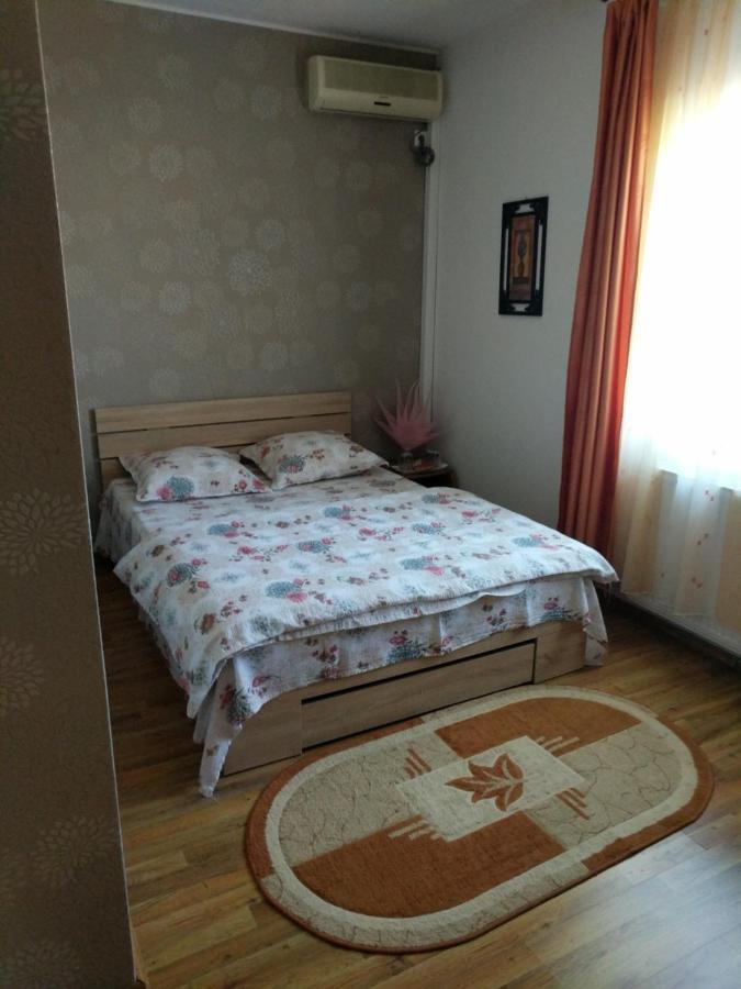 Pensiunea Vladut Timişoara Exteriör bild
